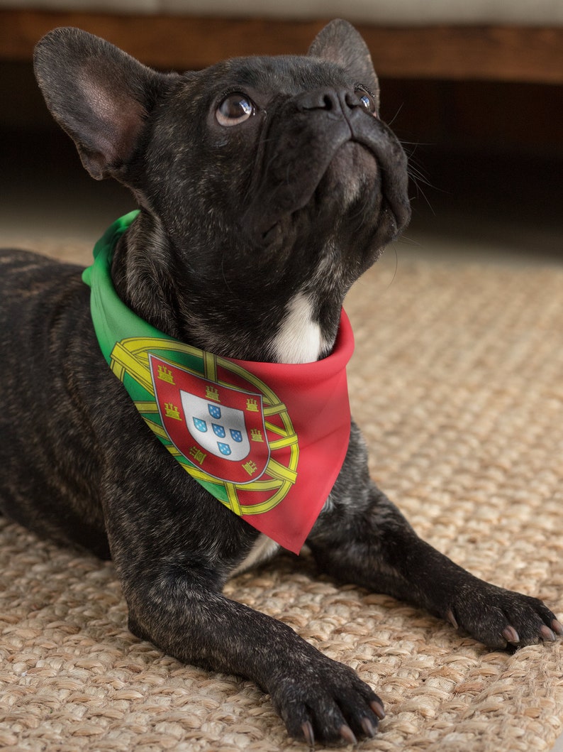May include: A black French Bulldog wearing a bandana featuring the Portuguese flag. The dog is lying down on a woven mat, looking upwards. The bandana is red, green, and yellow, with the Portuguese coat of arms.