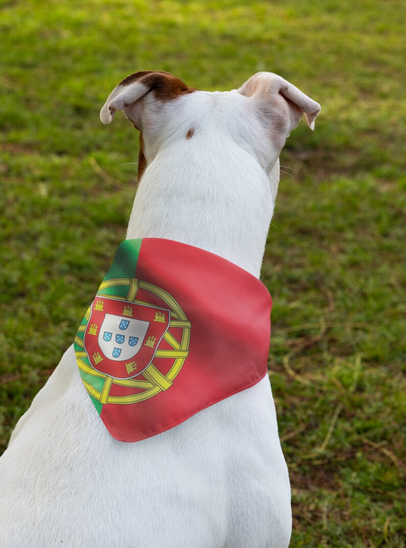 May include: A white dog with brown markings wearing a red bandana featuring the Portuguese flag. The bandana is square-shaped with a green and red border and a central emblem.