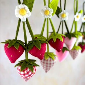 Handmade Strawberry Hanger