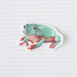 Akvarell vinylklistermärke med trädgroda 3x2" - väderbeständig dekal - transparent klistermärke med Whites trädgroda - genomskinligt klistermärke med Dumpy Tree Frog