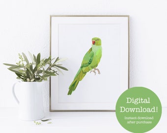 green indian ringneck parrot watercolor printable wall art - digital download - exotic tropical bird wall art
