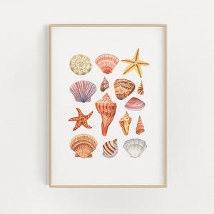 aquarelle illustration de coquillages - impression d’art mural - océan bord de mer nautique