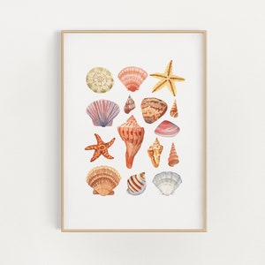 watercolor seashells illustration - wall art print - ocean seaside nautical