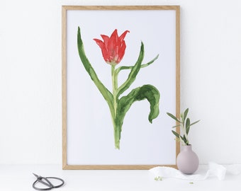 watercolor tulip painting illustration digital wall art print - high quality JPEG + PNG - botanical floral printable art - pink and green