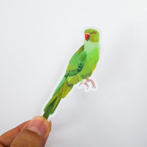 indian ringneck vinyl sticker decal matte - green indian ringneck parrot - transparent sticker bird weatherproof clear sticker