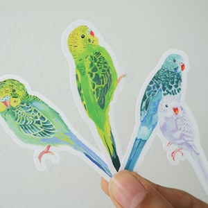 parakeet budgie vinyl matte stickers - 3x2" weatherproof decal - high quality - hand-painted watercolor gouache design