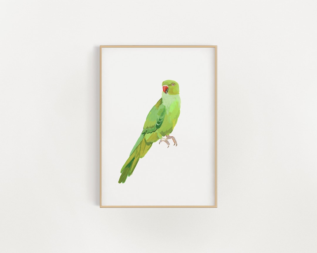 Original Painting Green Indian Ringneck Parrot Gouache Watercolor Fine ...