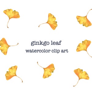 aquarel ginkgo blad illustraties - digitale download PNG clipart- transparante achtergrond - geelgouden ginkgo bladeren