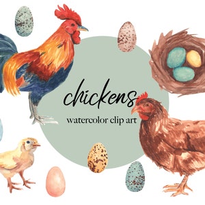 watercolor chickens clip art - transparent background PNGs - 11 unique illustrations - rooster hen chick eggs and nest - digital download
