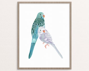 Blue and Mauve Parakeet Budgie Bird Illustration Giclee Print