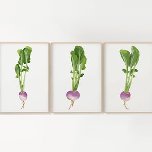 watercolor turnip prints - printable gouache wall art - digital download - PNG + JPEG set of 3 - garden/Spring theme - three piece wall art