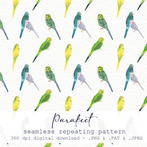 Puede incluir: Patrón repetitivo sin costuras con ilustraciones de acuarela de periquitos en tonos verdes, amarillos, azules y grises sobre un fondo blanco. La imagen incluye la palabra "Parakeet" y el texto "seamless repeating pattern".