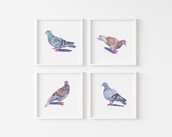 pigeon illustration giclee art print