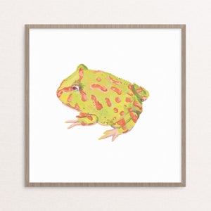 albino pacman frog giclee art print