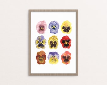 Watercolor Pansy Botanical Illustration Giclee Print