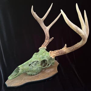 Green Painted Whitetail Deer Skull: 8-Point Buck, Rustic Wall Decor