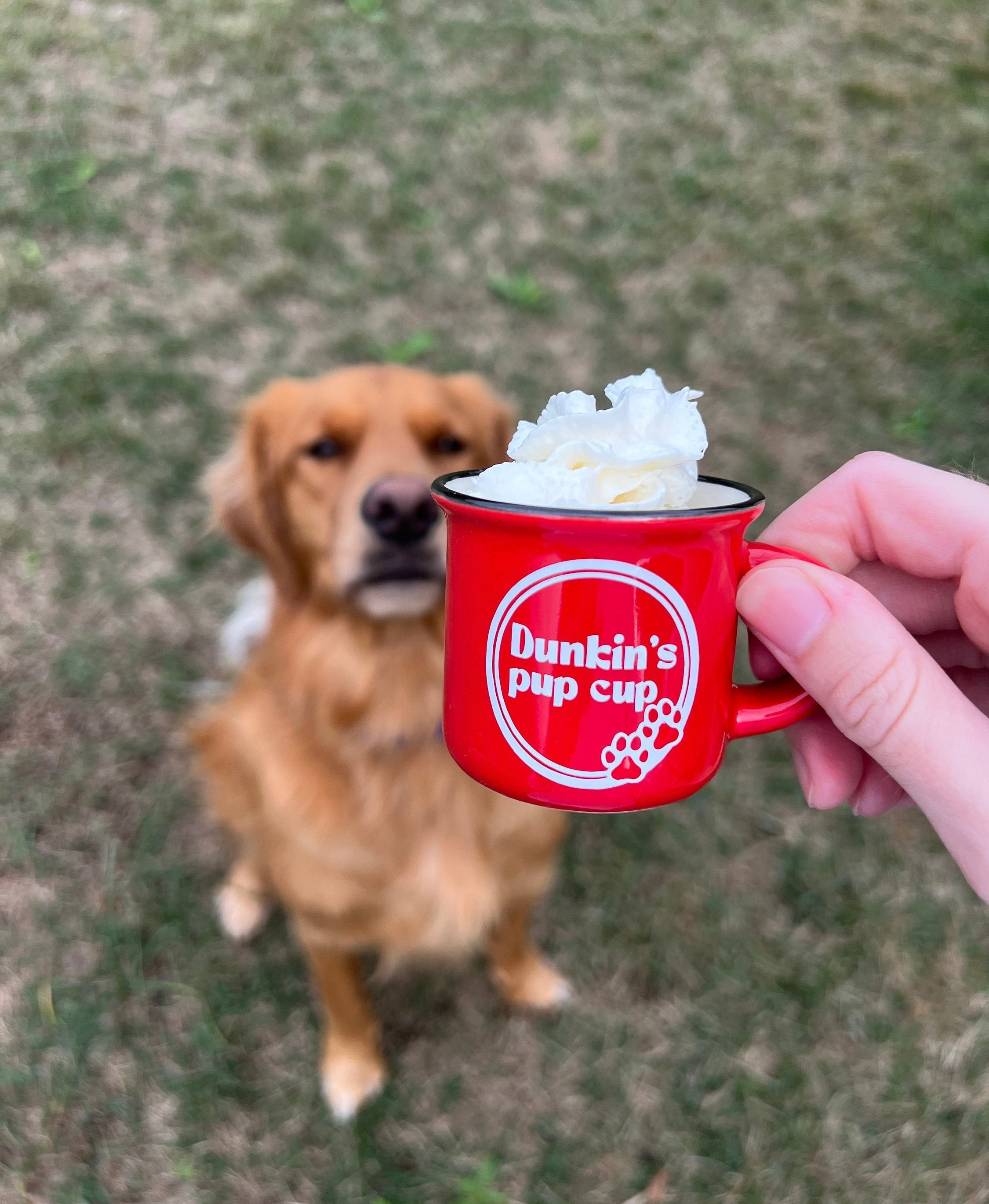 Dunkin top pup cup