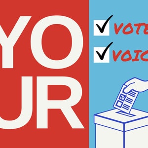Your voice your vote - postcards to voter pack of 25