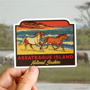 Vintage Assateague Island Decal Retro Travel Sticker Wild Horses MD VA Gift