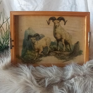 Fred Sweeney Wooden Ram Tray