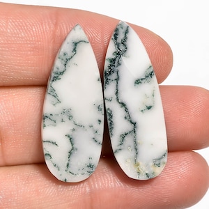 Natural Tree Agate Gemstone Heart Shape 41.50 Ct Designer Tree Agate Matched Pair Cabochon Gemstone For Making Earring 23X23X5MM