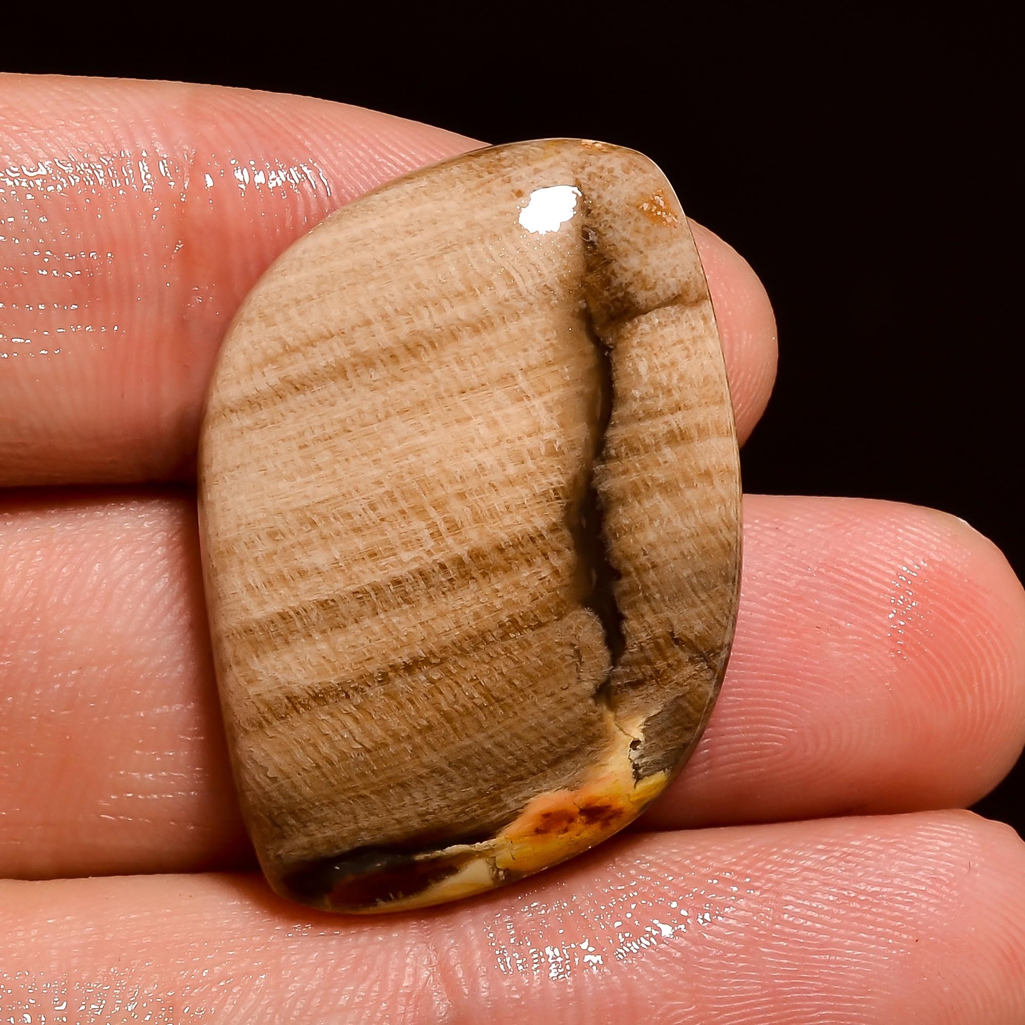 Awesome Wood Jasper Gemstone/Wood Jasper Fancy Shape Etsy