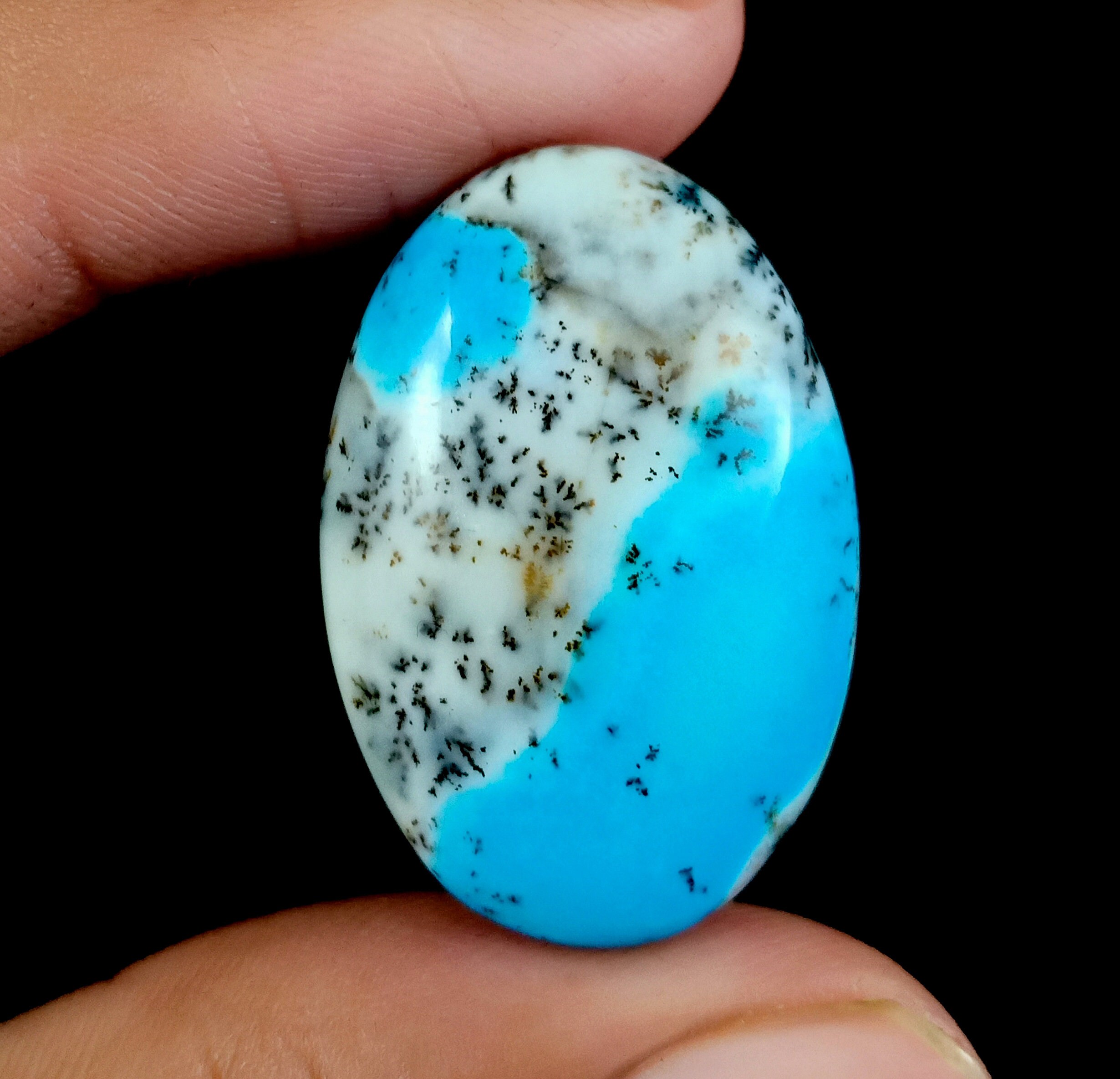 dendrite stone dendrite stone