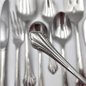 Oneida Rogers Bittersweet Repose: Vintage Stainless Flatware Silverware Replacement