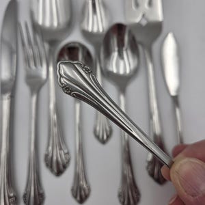Oneida Bittersweet Repose 1881 Rogers Flatware Vintage Replacement Stainless Silverware Spoon Fork Knife Serving Utensils