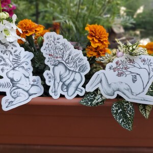Body Goddess Fine Art Sticker Set