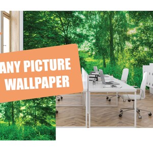 Your Photo on Wallpaper / Custom photo wallpaper / Custom photo wall mural / Custom photo peel and stick wallpaper