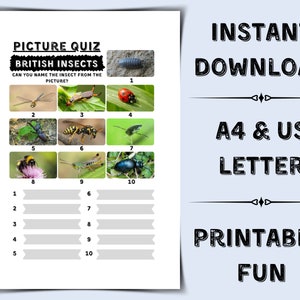 Printable British Insects Picture Quiz | Pub Quiz Picture Round | Name the British Insect Quiz | Ready Made Quiz | Pub Quiz with British Bug