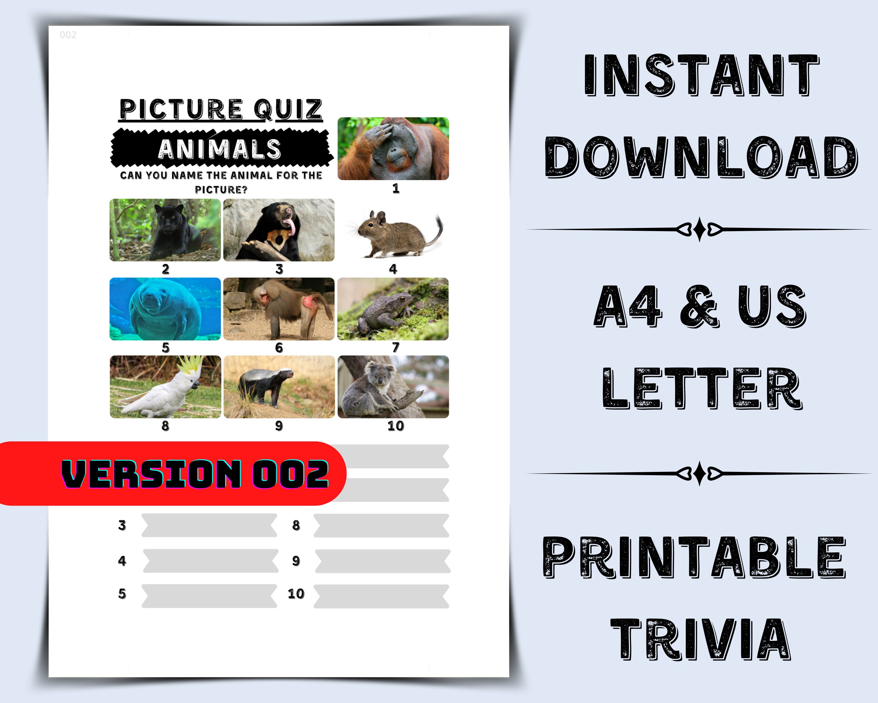 Guessing Game Guess The Animal Picture Quiz Powerpoint Wild