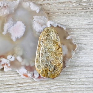 Unique Fossilized Coral/Natural Agatized Fossil Coral Necklace/Fossil Coral Jade Necklace/Chrysanthemum Jade Hand-Carved Deer Necklace
