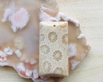 Unique Fossilized Coral Necklace/Natural Agatized Fossil Coral Necklace/Fossil Coral Jade/ Fossil Coral Necklace/Chrysanthemum Jasper