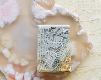 Unique Fossilized Coral Necklace/Natural Agatized Fossil Coral Necklace/Fossil Coral Jade/ Fossil Coral Necklace/Chrysanthemum Jasper