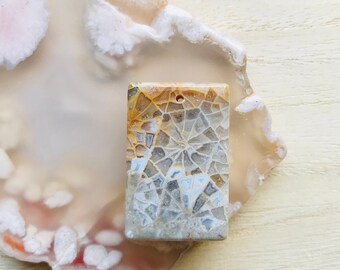 Unique Fossilized Coral Necklace/Natural Agatized Fossil Coral Necklace/Fossil Coral Jade/ Fossil Coral Necklace/Chrysanthemum Jasper