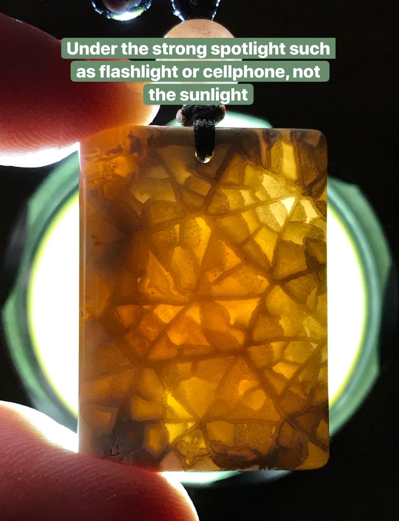 Unique Fossilized CoralNatural Agatized Fossil Coral NecklaceFossil Coral JadeFossil Coral NecklaceChrysanthemum Jade Rectangle Pendant
