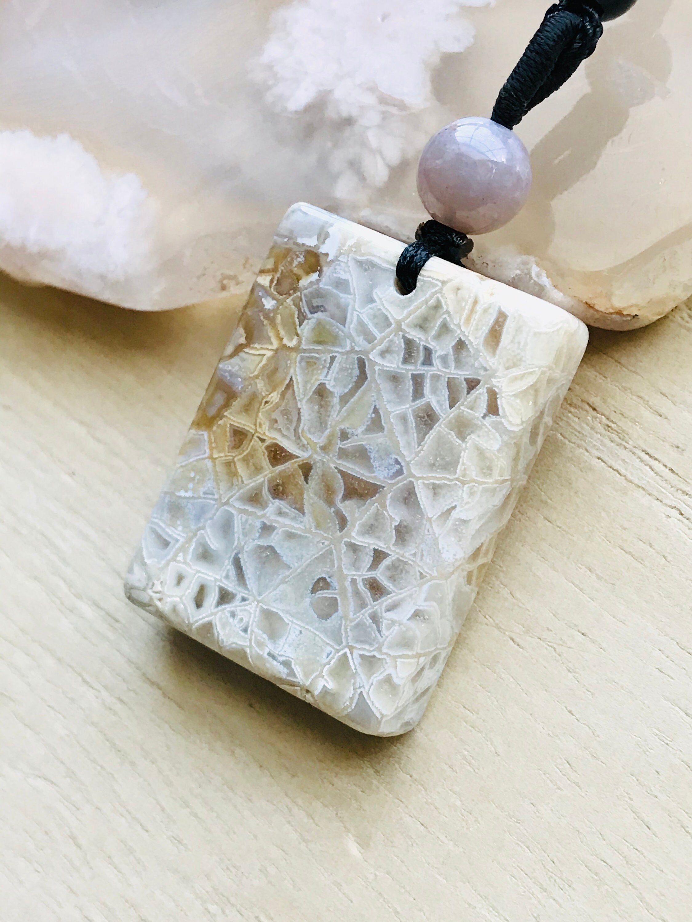 •AEON• fossilized coral + gold necklace (16