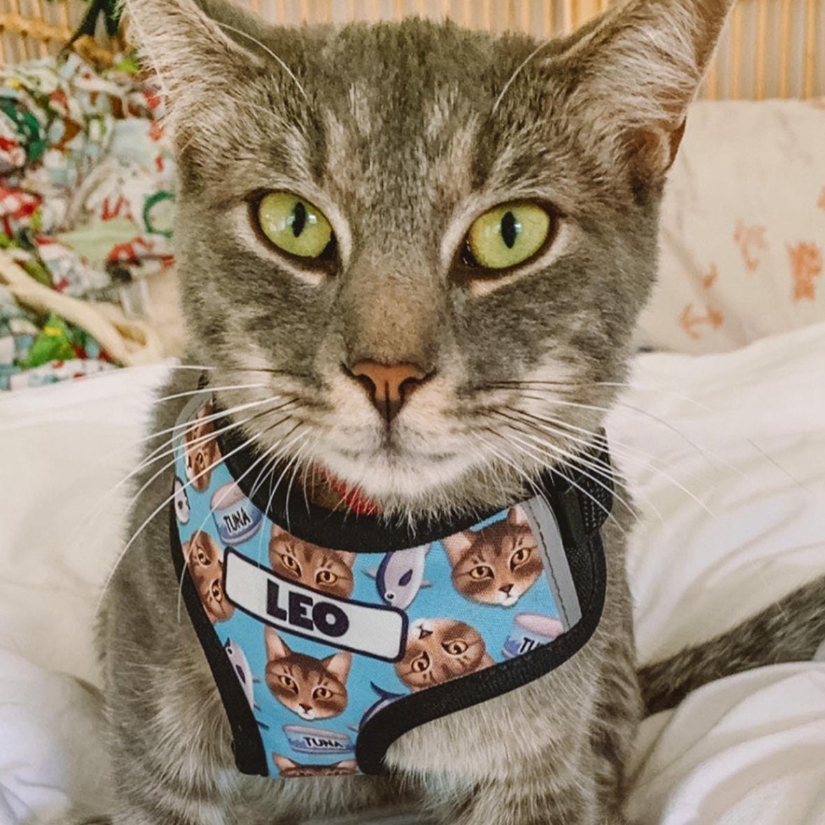 Photo inspiration: Custom Cat Leash Nyc Design Reference: Custom Cat Harness