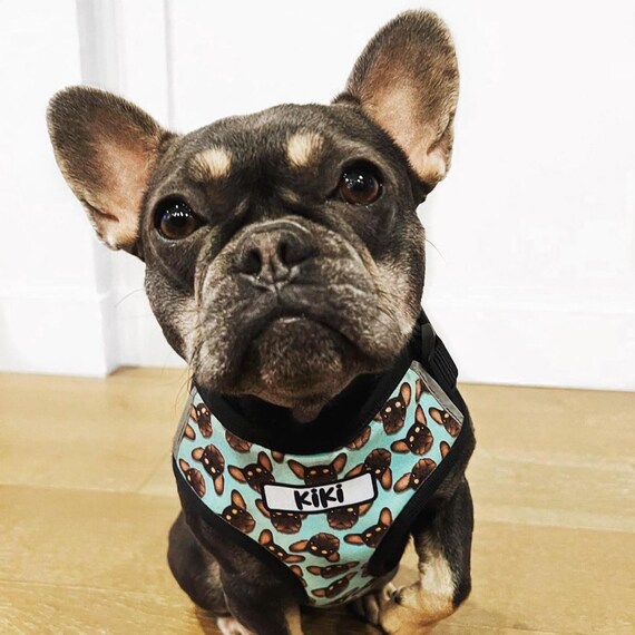 Petface hot sale dog harness