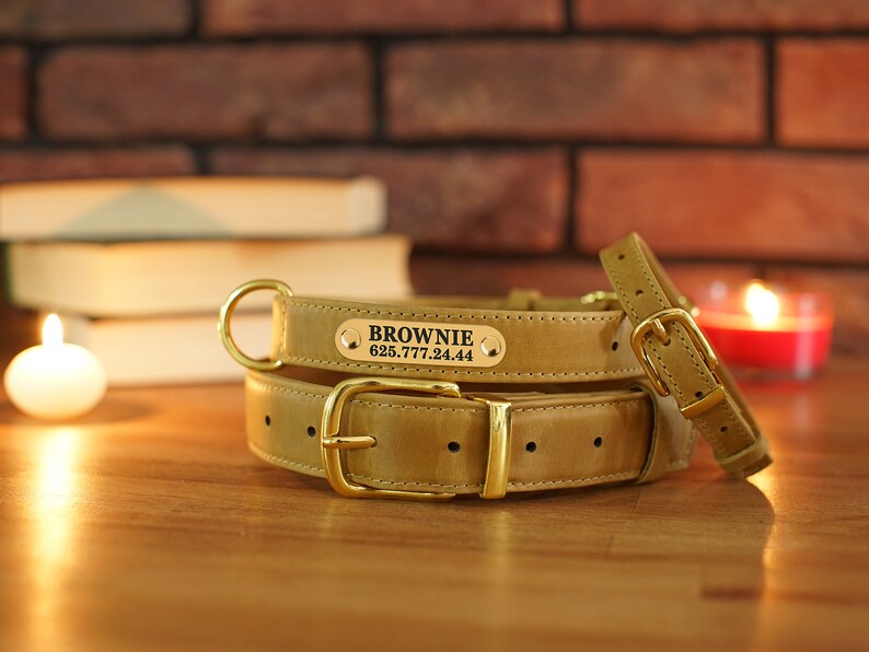 Leather Dog Collar With Name Plate Personalized Dog Collar Etsy Canada