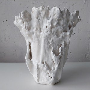 Może przedstawiać: Biały, ceramiczny wazon o organicznej fakturze. Wazon ma szorstką, porowatą powierzchnię i nieregularny, rozszerzany brzeg. Wnętrze jest gładkie, kontrastujące z bielą. Wazon stoi na białej powierzchni na tle teksturowanej ściany.