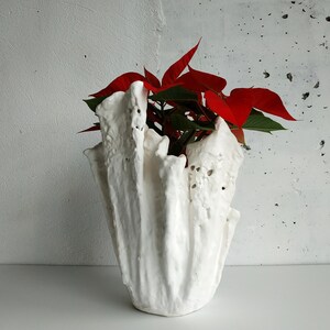 Puede incluir: Un jarrón de cerámica blanca texturizada con un diseño escultórico orgánico. El jarrón contiene una planta de flor de Pascua con brácteas rojas vibrantes y hojas verdes. El jarrón está sobre una superficie blanca contra una pared blanca texturizada.