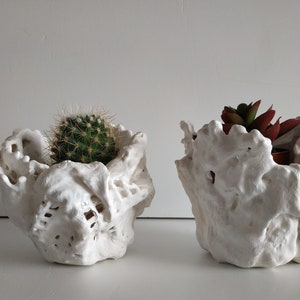 Set of two succulent planter. Handmade white plant pot. Small cactus planter pots. image 1