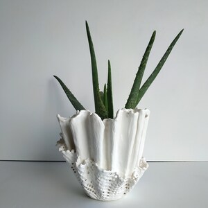 Handgemachter weißer Blumentopf. Einzigartige Aloe Vera Pflanze. Weiße abstrakte Vase.