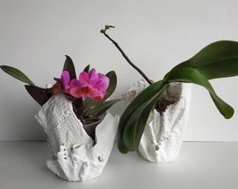 Set of two handmade orchid planter. Unique white orchid pot. Modern ceramic vase.