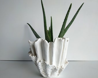 Handmade white planter. Unique aloe vera plant. White abstract vase.