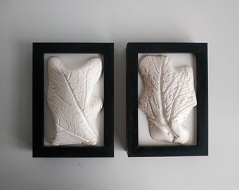 White botanical bas relief. Set of two black framed artworks. Modern clay 3d wall panels.