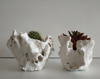 Set of two cactus planter pot. Small succulent planters. Handmade white plant pots.